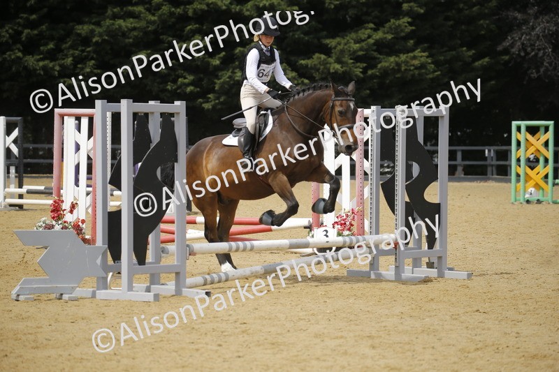 20250622-4155 - 50cm