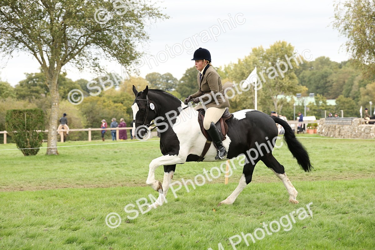 SBM_67274 - S67 - Piebald & Skewbald Horse Ridden