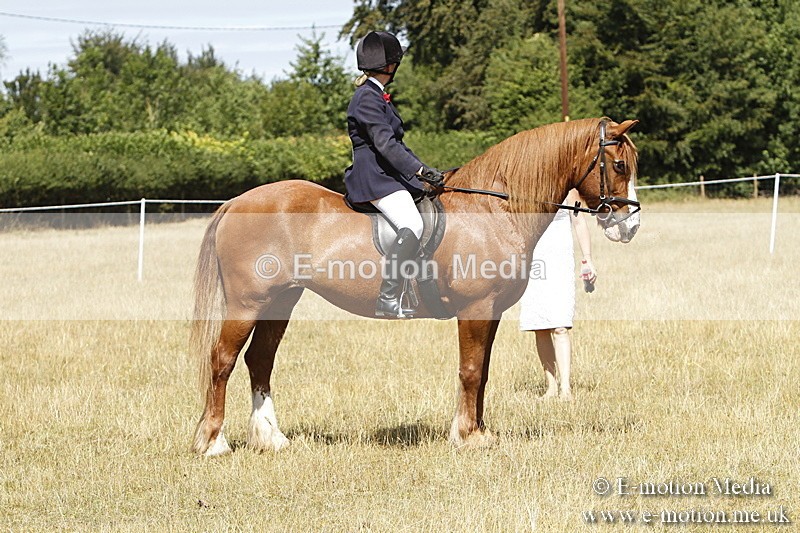 _BS_0822 - BVRC Show 2018 Ring 1