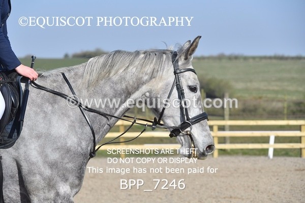BPP_7246 - CLASS 1 Club/ Unaffiliated 80cms Open