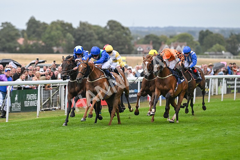 300825-Race 7-Urban Sprawl-2126 - Race 7