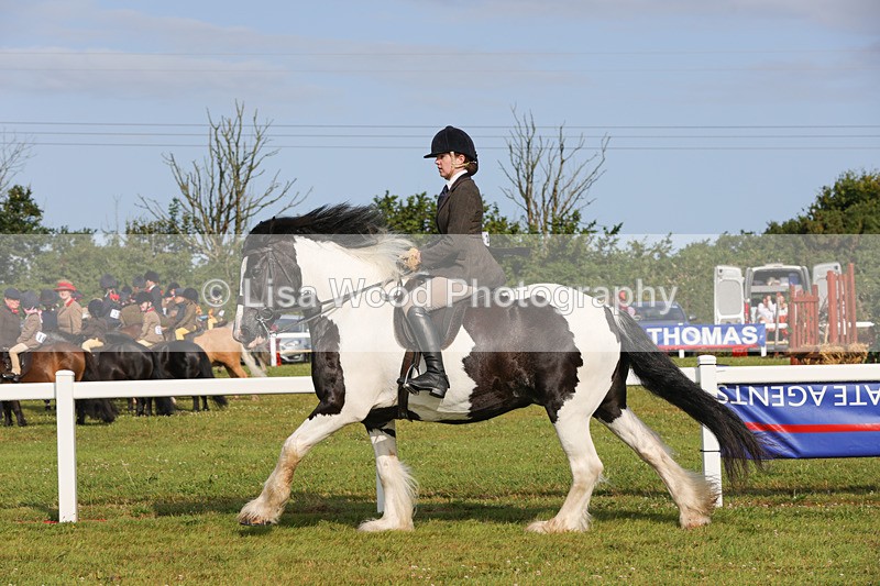 1X9A3150 - Class 27:  Ridden Native/Trad Coloured Horse