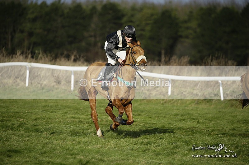 PtP 281121 0136 - Hursley Hambledon Point-to-Point Larkhill 28/11/21