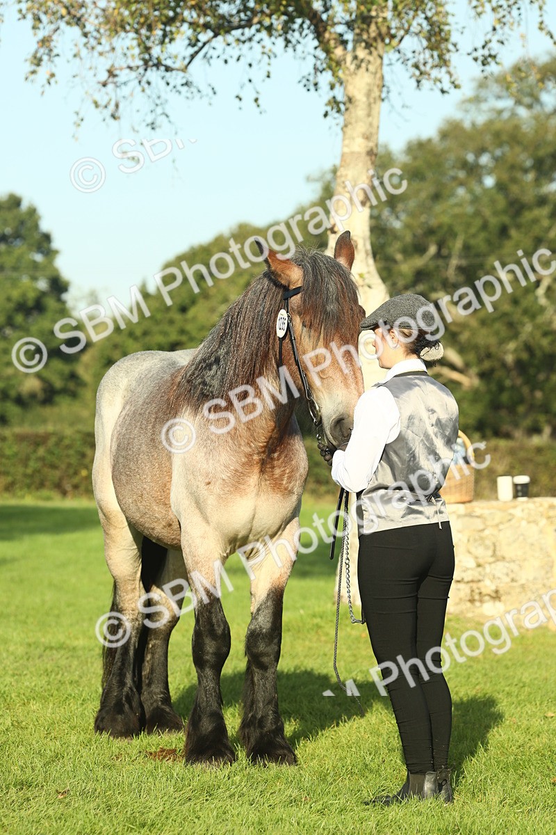 SBM_58593 - S37 - Starters In Hand Showing
