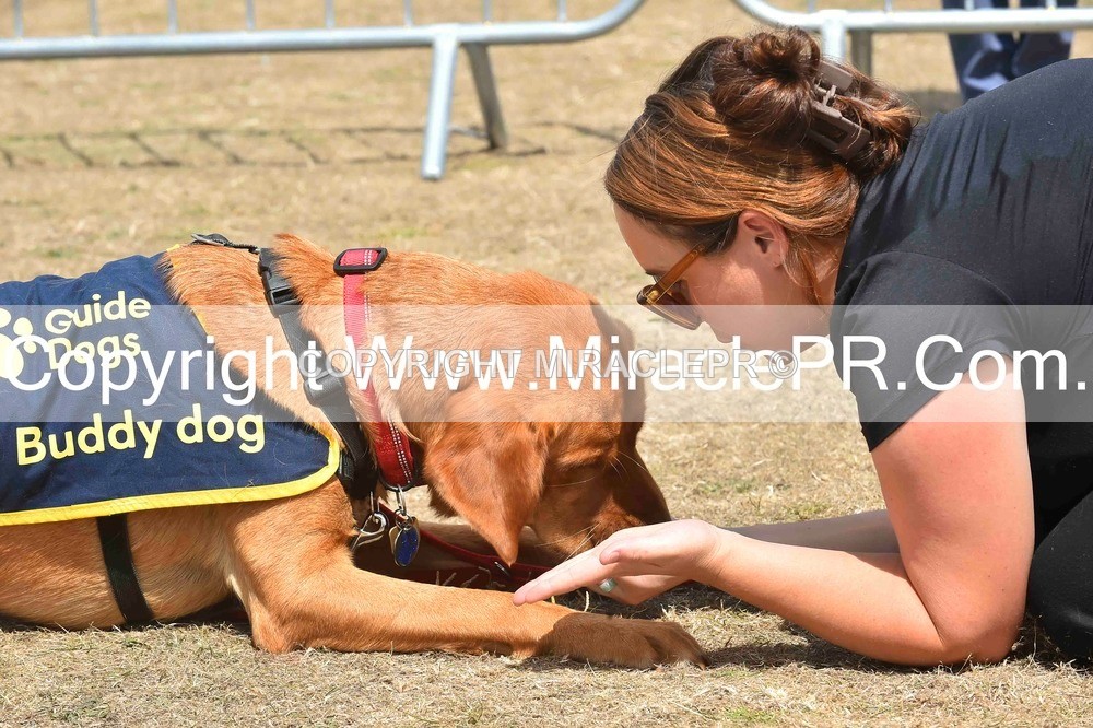 SH4_0240 - Dog show.