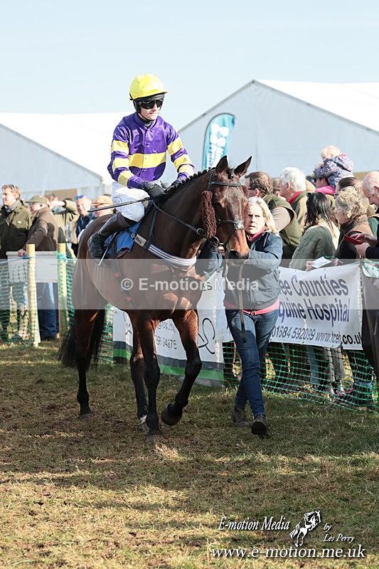 PtP 010325 428 - Beaufort Races Didmarton 01/03/25