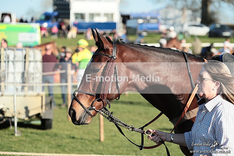 PtP 210326 1164 - VWH Cirencester Races 21/03/26