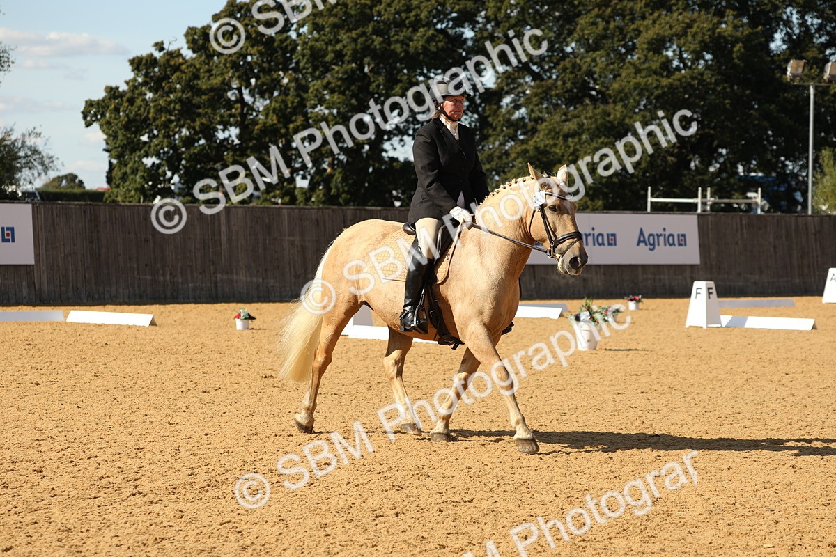 SBM_24593 - D17 - Grand Tour Championship - Novice 27