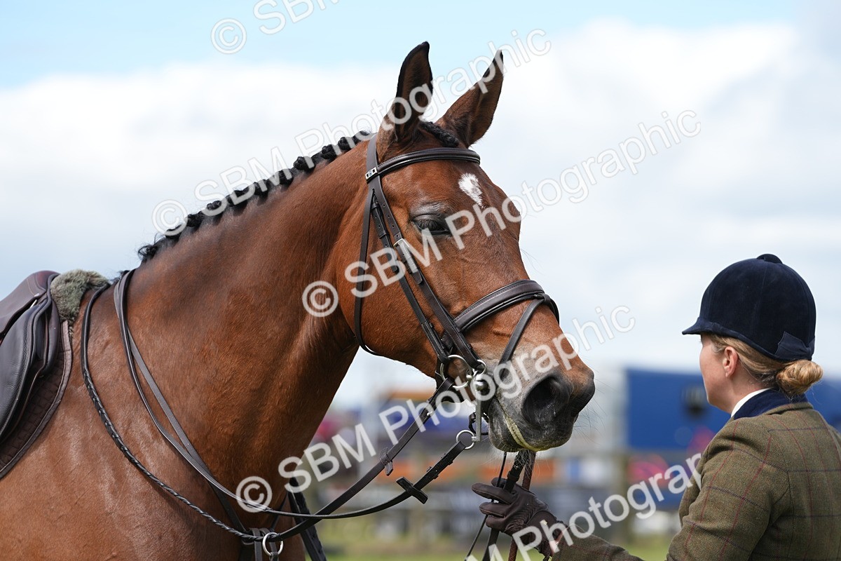 SBM_15025 - Class 100-102 - RIHS Working Hunter