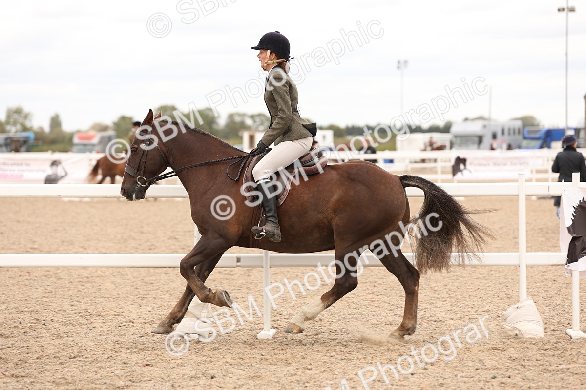 SBM_19560 - Class 215 - Ridden Show cob