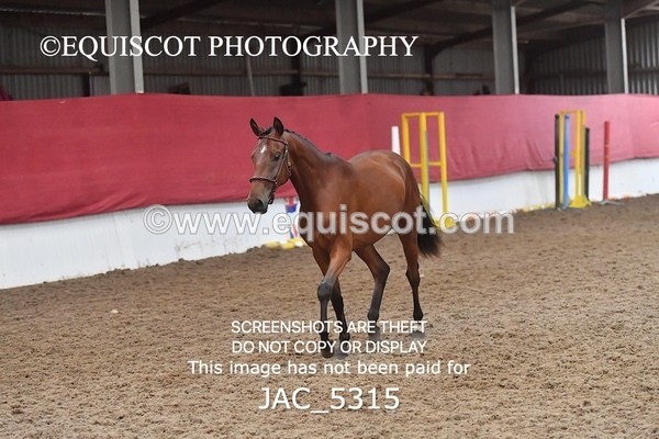 JAC_5315 - 7 L'Espirits Little Unicorn