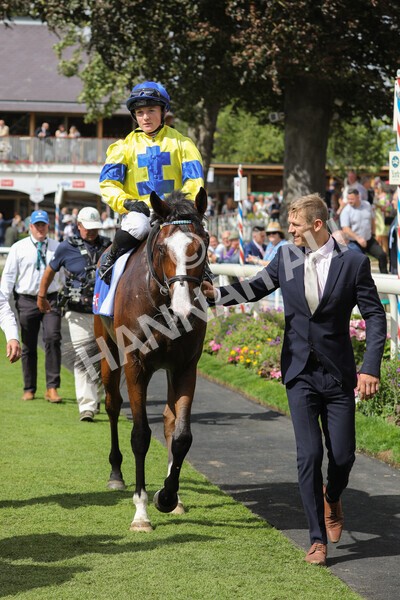 yr20082022r2-48 - Race 2 2.35pm Sky Bet Melrose Stakes