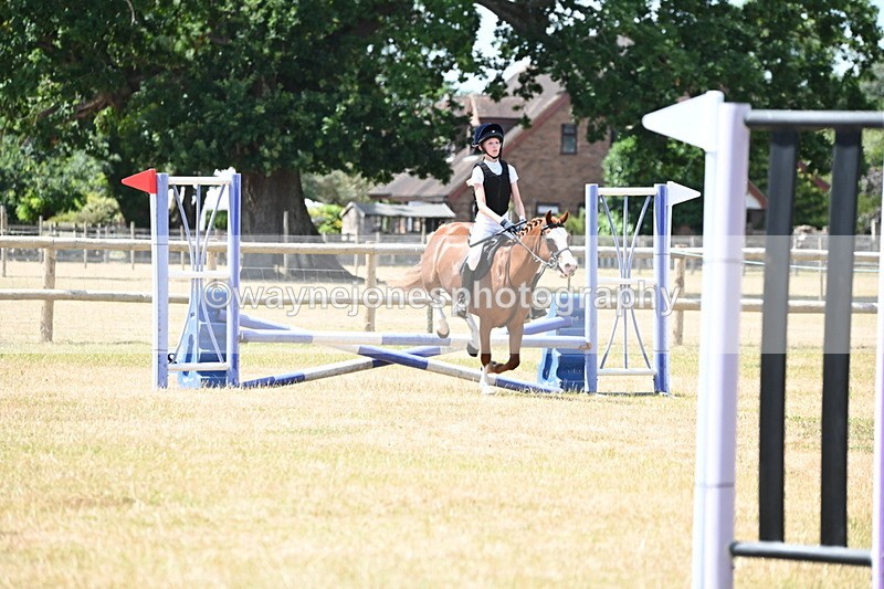 WJ6_5750 - Class 13 Novice 60cm