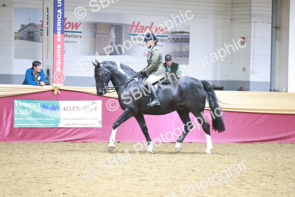 SBM_08979 - Class 12R - Regional Ridden Pre-Vet