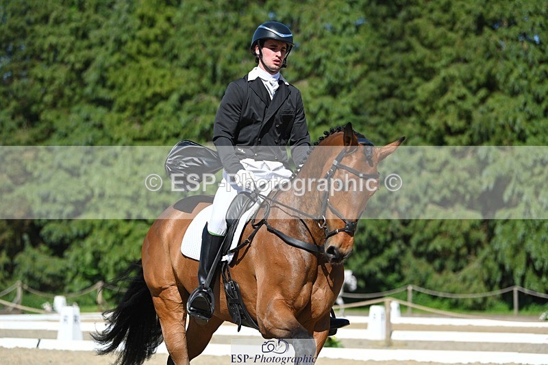 230526-161919-07335 - 255-HI_MR_HENRY-Henry_Hobby-WEDTrotUp+DR