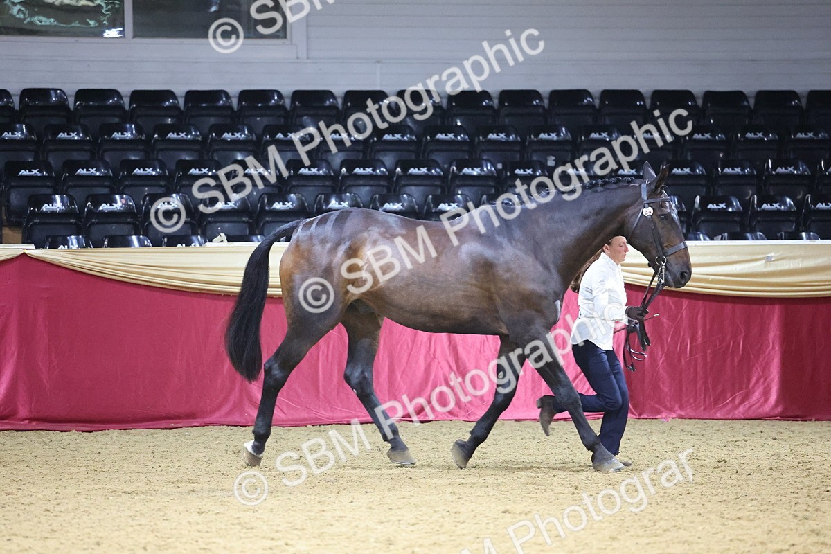 SBM_20769 - Class 902 - Supreme Final IH Veteran