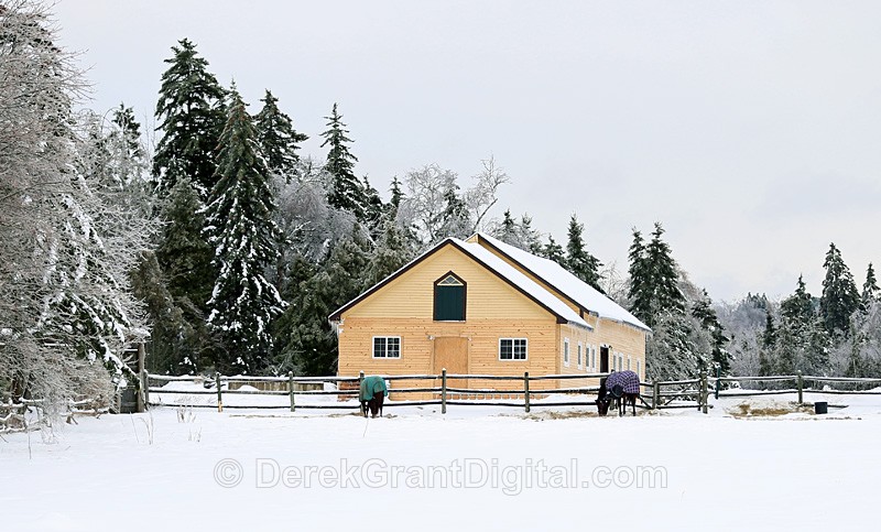 Winter Stable - Old Barns & Buildings