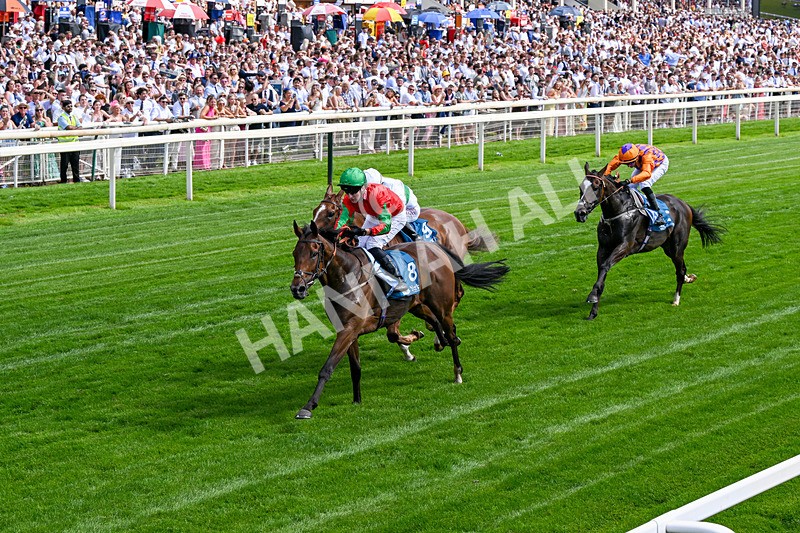 270626-Race 5-My Ballyquinn-0331 - Race 5 15.38pm Al Basti Equiworld Dubai Handicap