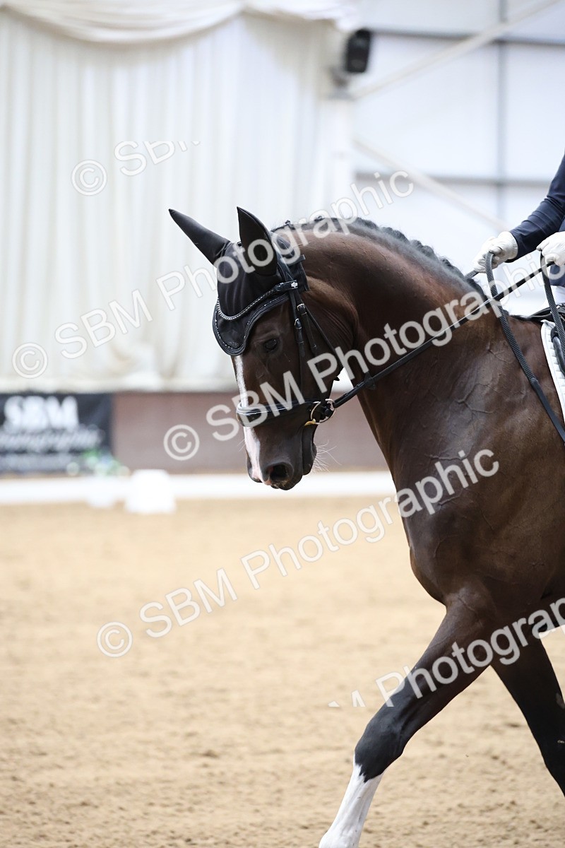 SBM_003391 - Class 5 - Novice 6 Gold - 13.05-14.00
