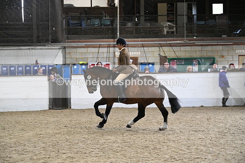 WJ7_4001 - Class 17 Ridden Cob