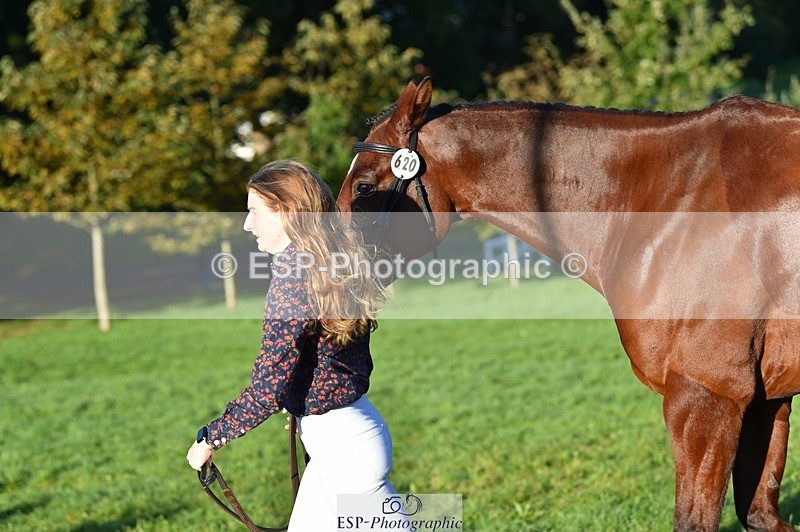 231022-091712-21673 - 620-PENOLVA.HIGH.HOPES-Elizabeth.Payne-TrotUp+SJ