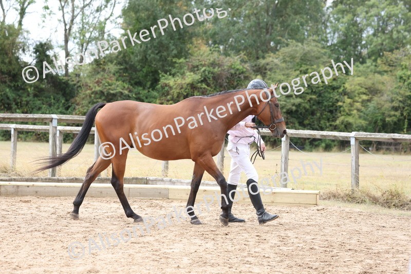 20260831-1886 - Class 5 - Retraining of Racehorses