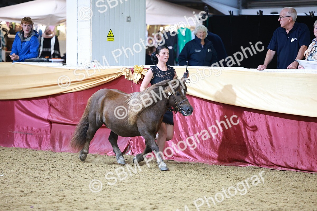 SBM_20079 - Class C - Novalty Champ