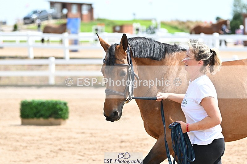 240717A-145127-02351 - Trot Up 2pm to 3pm - This folder is not in time order