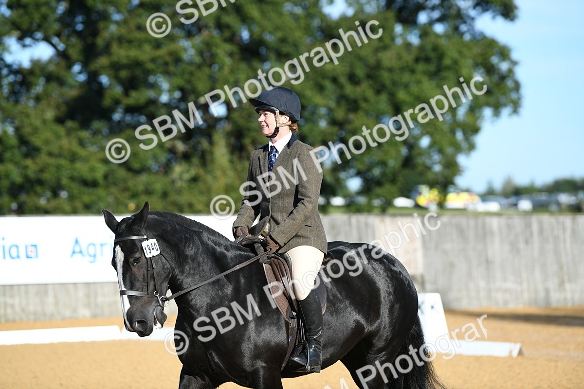 SBM_16085 - D4 - Small Tour Championship - Intro B