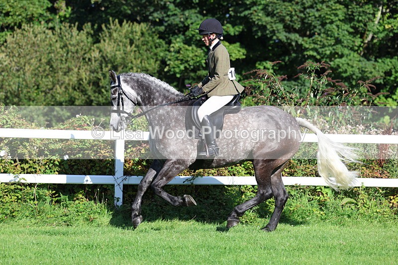 3E7A7613 - Class 1: Novice Working Hunter Pony