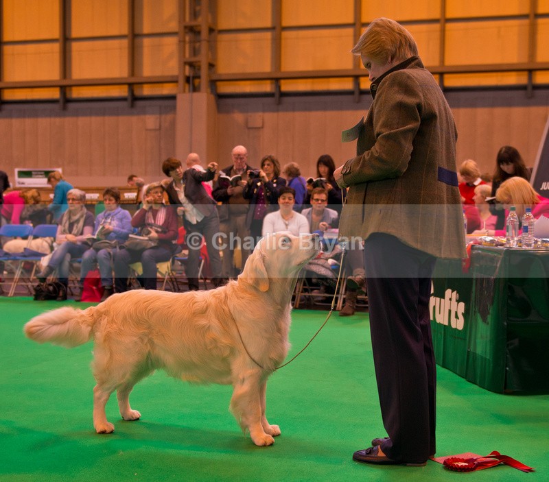  - Crufts 2015