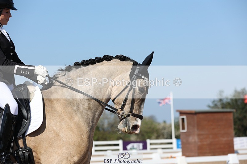 250405-113546-10182 - 107-Molly.Powell-Diego