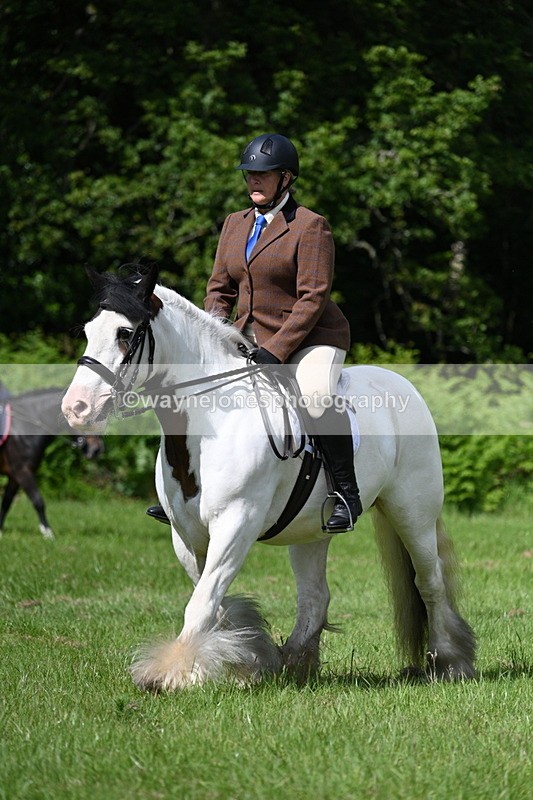 WJ7_1254 - Class 11 Condition & Turnout