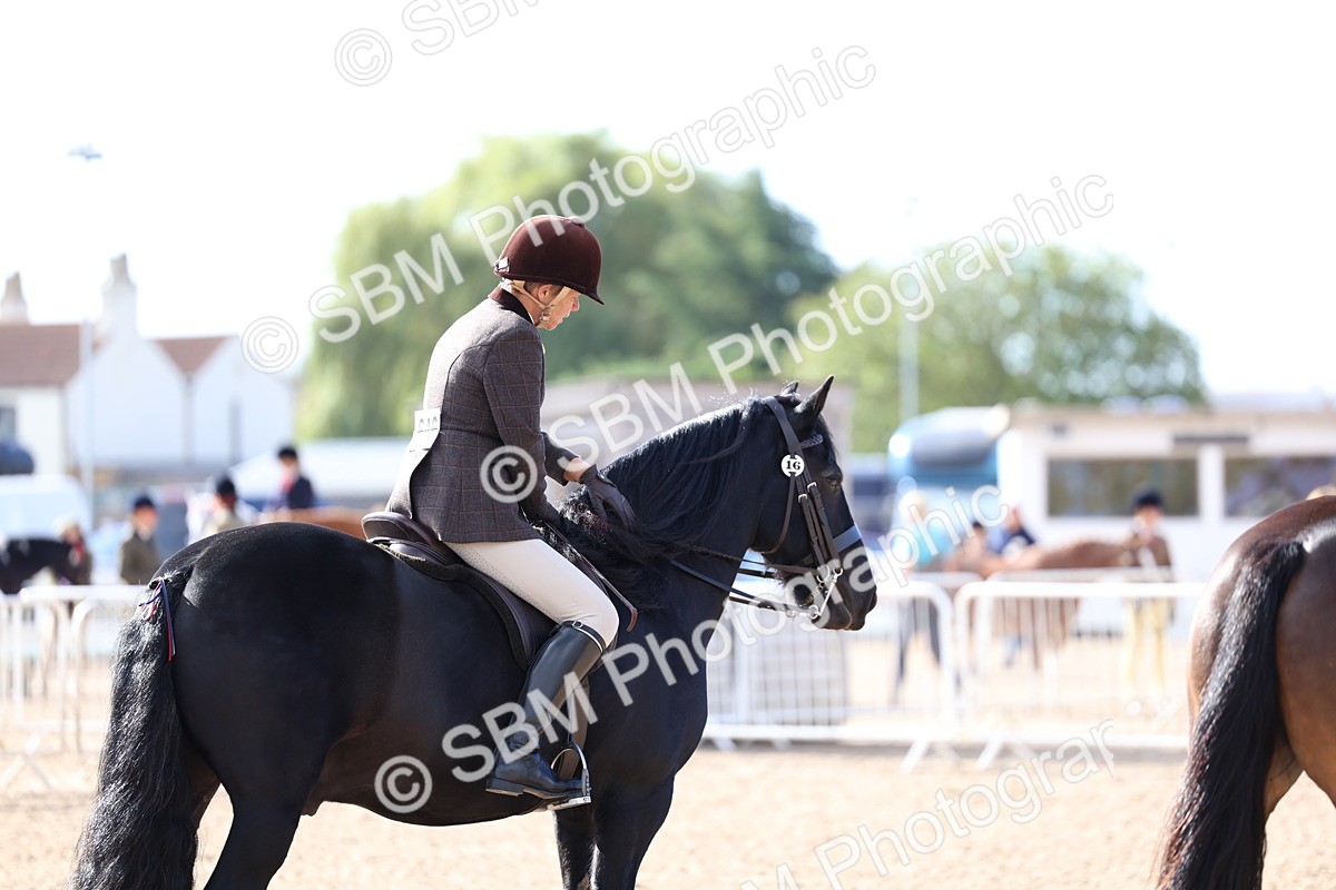 SBM_08951 - Class 302 - Ridden M&M - Large Breeds