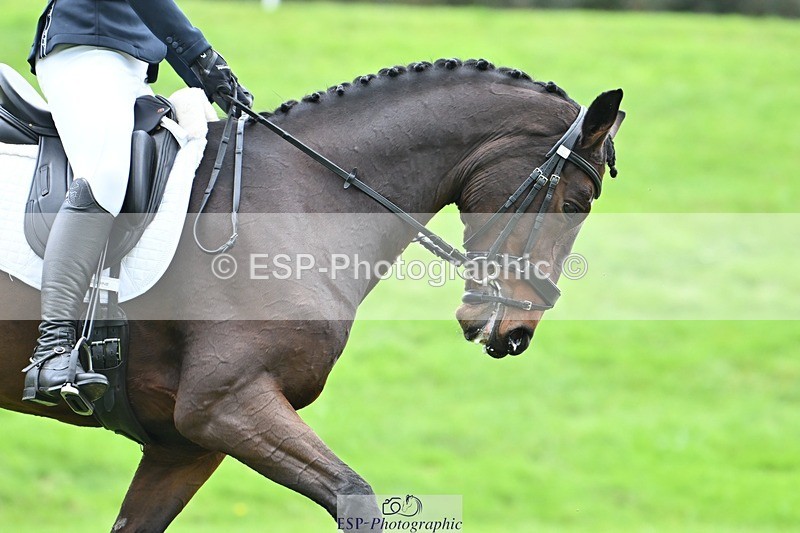 231020-152117-11444 - 685-ADRENALIN.II-Cosima.Atkinson-DR