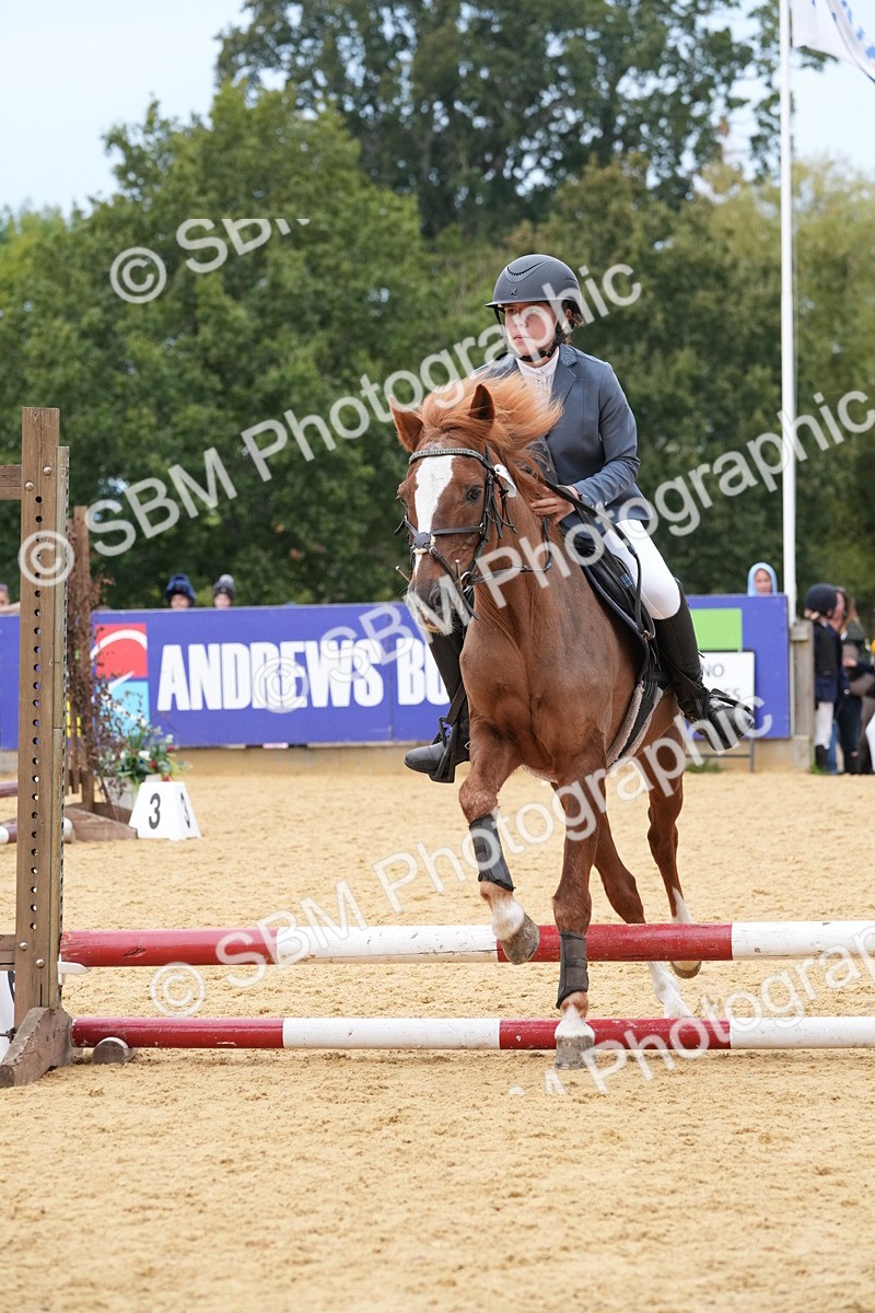 SBM_71737 - J3 - Mini Tour Junior Pony 40cm Championship