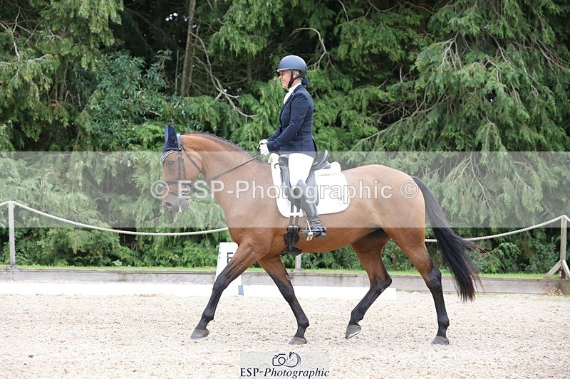 230812-150552-05050 - Cls 5 Novice Bronze 15.00 to End