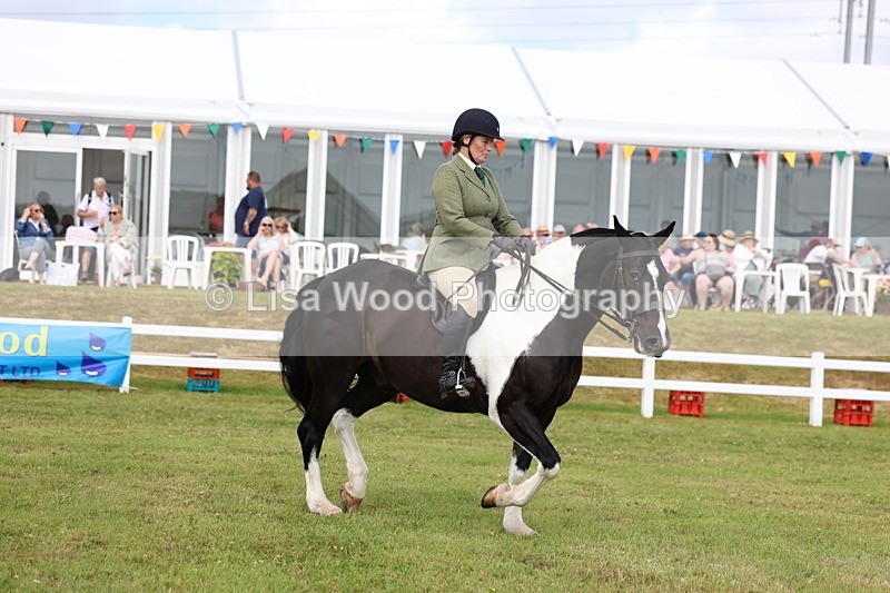 3E7A0320 - Class 6: Rising Star Maxi Cobs