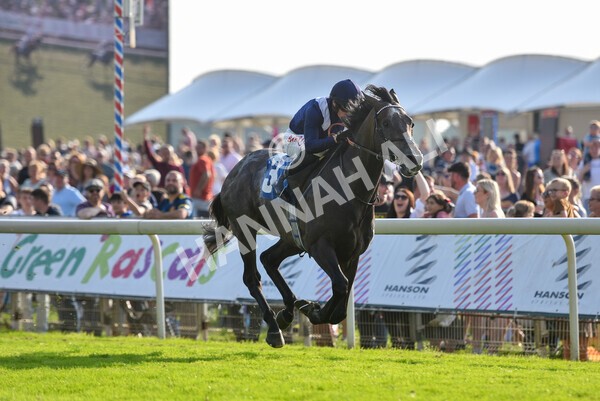 yr05092021r6-14 - Race 6 4.50pm Hanson Spring Stakes