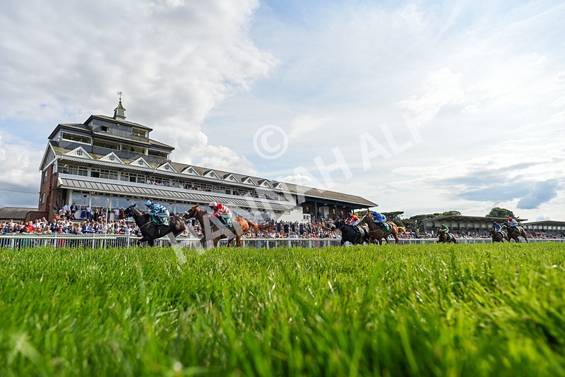 170724-Race 7-Yazaman-1817 - Race 7