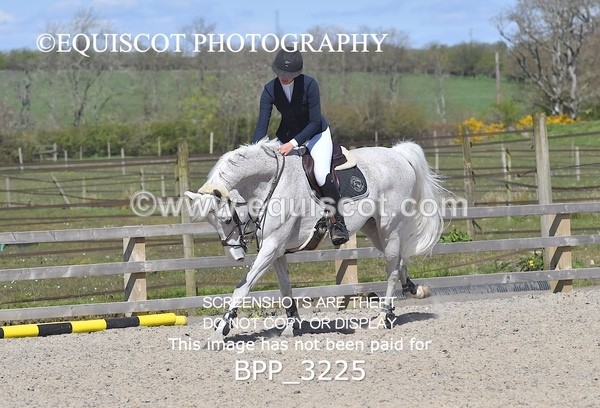 BPP_3225 - CLASS 15 Senior Foxhunter/ 1.20m Open