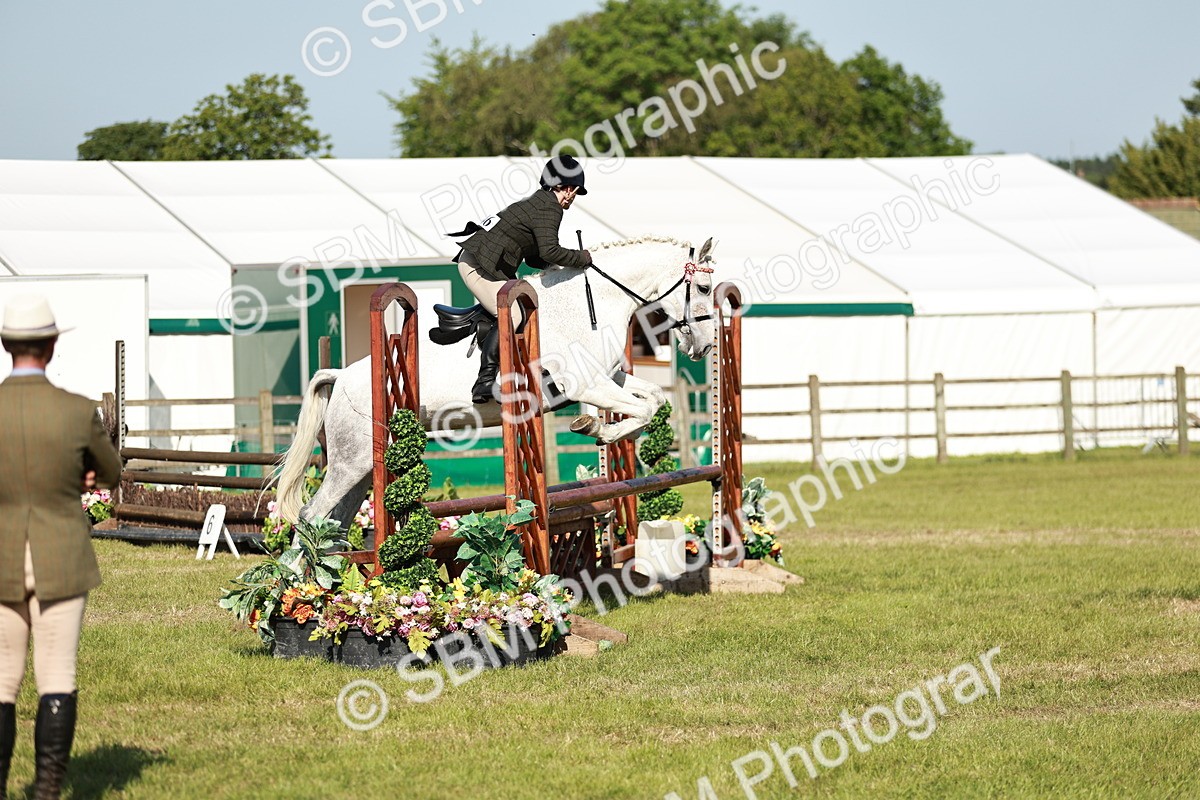 SBM_19202 - Class 115-116 - LIHS BSHA Rising Star Working Hunter & Show Horse