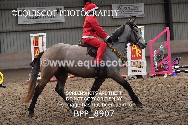 BPP_8907 - CLASS 1 Beginners Show Jumping