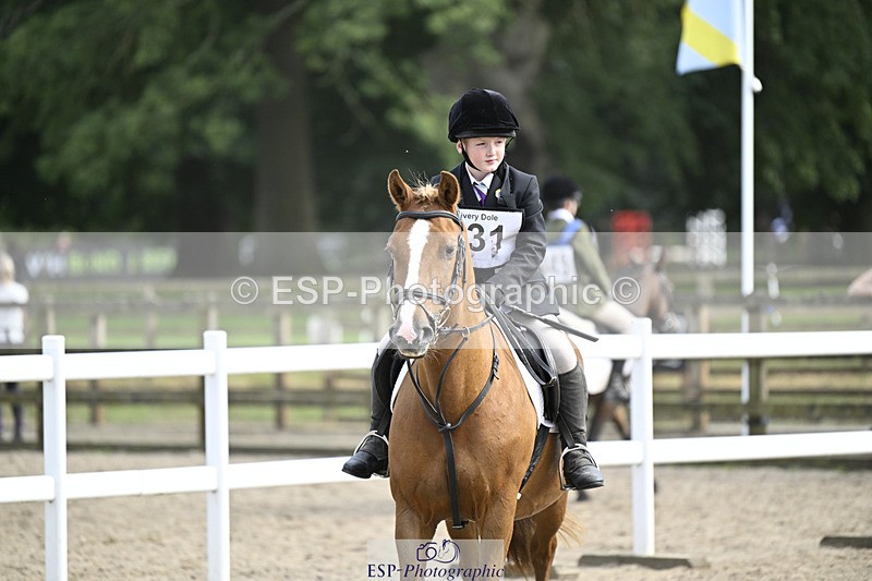 240823X-161102-19078 - 70cm R2 15.20 to 16.40