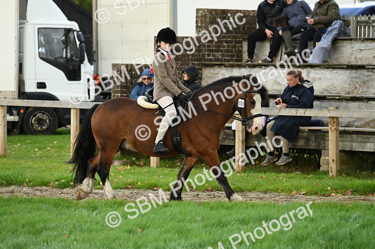 SBM_26566 - S7 - Novice & Newcomer Ridden Pony