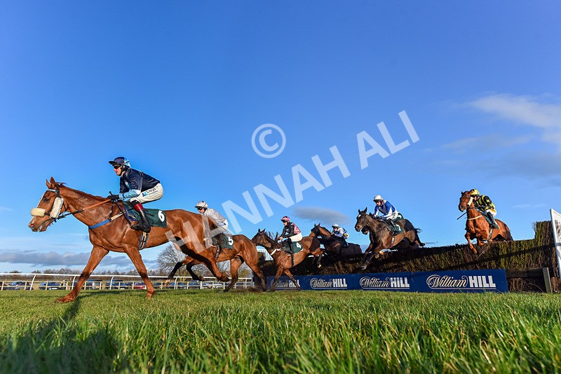 250225-Race 5-Sean Og-0751 - Race 5