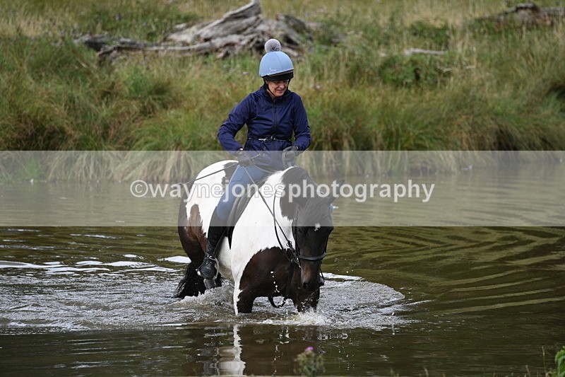 WJ7_1432 - Time at Water 10:09 to 10:47
