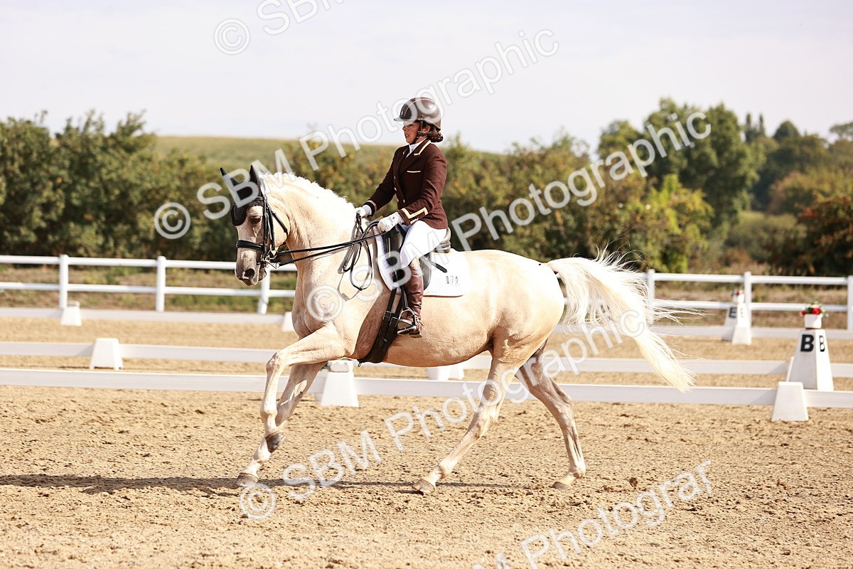 SBM_017025 - Class 10 - Medium 6