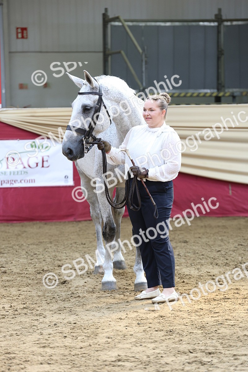 SBM_23400 - Class 903 - Supreme Final - IH Pre Vet