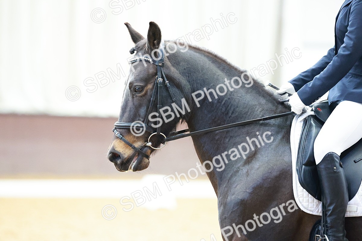 0B8A4136 - Class 3-6-9 - Prel Nov Ele - FSM